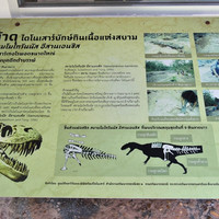 พิพิธภัณฑ์ไดโนเสาร์ภูเวียง พารามิเตอร์รูปภาพ 53