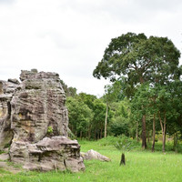 มอหินขาว พารามิเตอร์รูปภาพ 2
