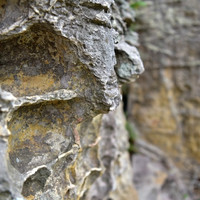 มอหินขาว พารามิเตอร์รูปภาพ 9