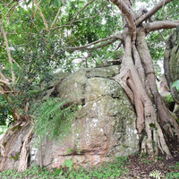 มอหินขาว พารามิเตอร์รูปภาพ 11