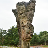 มอหินขาว พารามิเตอร์รูปภาพ 25