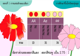 วีดิทัศน์: ความน่าจะเป็นกับการถ่ายทอดลักษณะทางพันธุกรรม ... พารามิเตอร์รูปภาพ 1