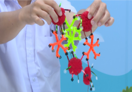 วีดิทัศน์ : แบบจำลองโครงสร้างหมู่เลือดระบบ ABO รูปภาพ 1