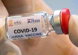 COVID-19 ภัยร้ายที่โลกต้องเผชิญ พารามิเตอร์รูปภาพ 1
