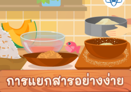 การแยกสารอย่างง่าย พารามิเตอร์รูปภาพ 1