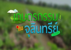 วีดิทัศน์ : เกษตรกรรมกับจุลินทรีย์ (ไรโซเบียมและไมคอร์ไรซา) พารามิเตอร์รูปภาพ 1