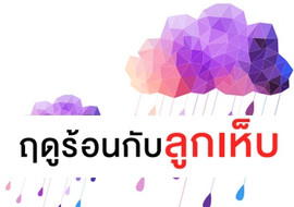 ฤดูร้อนกับลูกเห็บ พารามิเตอร์รูปภาพ 1