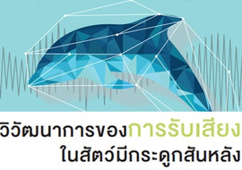 วิวัฒนาการของการรับเสียงในสัตว์มีกระดูกสันหลัง พารามิเตอร์รูปภาพ 1
