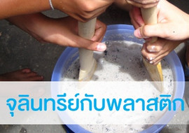 จุลินทรีย์กับพลาสติก พารามิเตอร์รูปภาพ 1