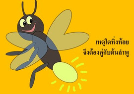 เหตุใดหิ่งห้อย จึงต้องคู่กับต้นลำพู พารามิเตอร์รูปภาพ 1
