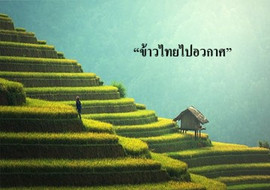 “ข้าวไทยไปอวกาศ” รูปภาพ 1