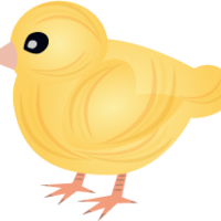วัฏจักรชีวิตของไก่ พารามิเตอร์รูปภาพ 3