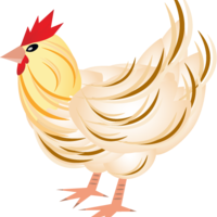 วัฏจักรชีวิตของไก่ พารามิเตอร์รูปภาพ 5