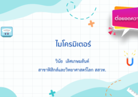 ไมโครมิเตอร์ พารามิเตอร์รูปภาพ 1