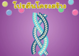 แอนิเมชัน : โปรตีนโครงสร้าง พารามิเตอร์รูปภาพ 1