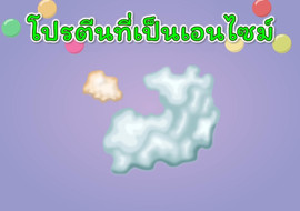 แอนิเมชัน : โปรตีนที่เป็นเอนไซม์ รูปภาพ 1