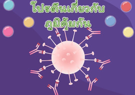 แอนิเมชัน : โปรตีนเกี่ยวกับภูมิคุ้มกัน รูปภาพ 1