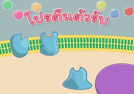แอนิเมชัน: โปรตีนตัวรับ พารามิเตอร์รูปภาพ 1