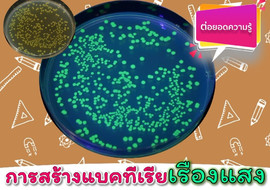 วีดิทัศน์ : การสร้างแบคทีเรียเรืองแสง พารามิเตอร์รูปภาพ 1