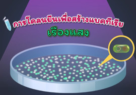 แอนิเมชัน : การโคลนยีนเพื่อสร้างแบคทีเรียเรืองแสง พารามิเตอร์รูปภาพ 1