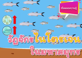 วีดิทัศน์ : วัฏจักรไนโตนเจนในมหาสมุทร พารามิเตอร์รูปภาพ 1