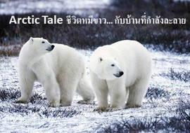 Arctic Tale ชีวิตหมีขาว... กับบ้านที่กำลังละลาย รูปภาพ 1