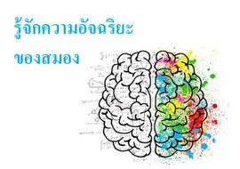รู้จักความอัจฉริยะของสมอง พารามิเตอร์รูปภาพ 1