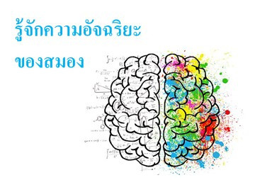รู้จักความอัจฉริยะของสมอง รู้จักความอัจฉริยะของสมอง