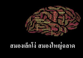 สมองเล็กโง่ สมองใหญ่ฉลาด พารามิเตอร์รูปภาพ 1
