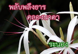 แหล่งเรียนรู้คลองนาคา พารามิเตอร์รูปภาพ 1