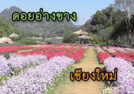 แหล่งเรียนรู้สถานีเกษตรหลวงอ่างขาง พารามิเตอร์รูปภาพ 1