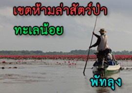 แหล่งเรียนรู้เขตห้ามล่าสัตว์ป่าทะเลน้อย พารามิเตอร์รูปภาพ 1