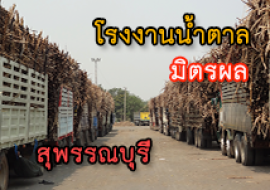 แหล่งเรียนรู้โรงงานน้ำตาลมิตรผล พารามิเตอร์รูปภาพ 1