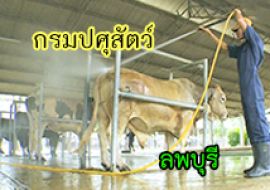 แหล่งเรียนรู้กรมปศุสัตว์ พารามิเตอร์รูปภาพ 1