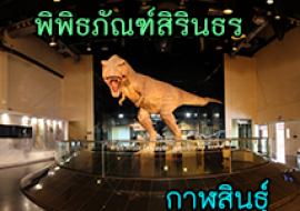 แหล่งเรียนรู้พิพิธภัณฑ์สิรินธร พารามิเตอร์รูปภาพ 1