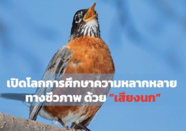 เปิดโลกการศึกษาความหลากหลาย ทางชีวภาพ ด้วย “เสียงนก” พารามิเตอร์รูปภาพ 1