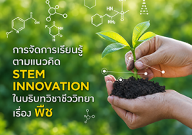 การจัดการเรียนรู้ตามแนวคิด STEM INNOVATION ... พารามิเตอร์รูปภาพ 1