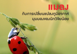 แมลง กับการเปลี่ยนแปลงภูมิอากาศ มุมมองของนักวิจัยน้อย พารามิเตอร์รูปภาพ 1