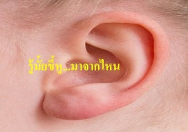 รู้มั้ยขี้หู...มาจากไหน พารามิเตอร์รูปภาพ 1