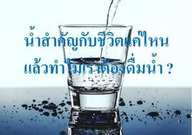 น้ำสำคัญกับชีวิตแค่ไหน แล้วทำไมเราต้องดื่มน้ำ ? พารามิเตอร์รูปภาพ 1