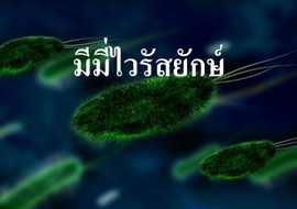 มีมี่ไวรัสยักษ์ พารามิเตอร์รูปภาพ 1