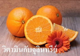 วิตามินกับจุลินทรีย์ รูปภาพ 1