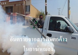 อันตรายจากสารพิษตกค้างในยาฆ่าแมลง พารามิเตอร์รูปภาพ 1