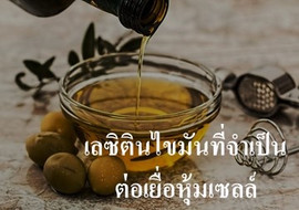 เลซิตินไขมันที่จำเป็นต่อเยื่อหุ้มเซลล์ พารามิเตอร์รูปภาพ 1