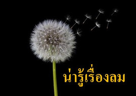 น่ารู้เรื่องลม พารามิเตอร์รูปภาพ 1