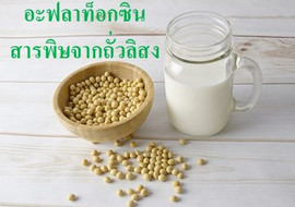 อะฟลาท็อกซิน สารพิษจากถั่วลิสง พารามิเตอร์รูปภาพ 1