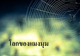 โลกของแมงมุม พารามิเตอร์รูปภาพ 1