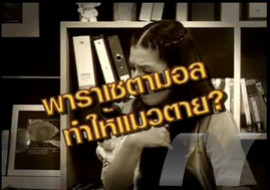 sci indy ตอน แมวกับพาราเซตามอล พารามิเตอร์รูปภาพ 1