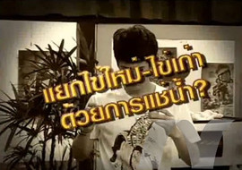 sci indy ตอน ไข่เก่าไข่ใหม่ พารามิเตอร์รูปภาพ 1