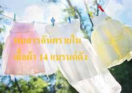 พบสารอันตรายในเสื้อผ้า 14 แบรนด์ดัง รูปภาพ 1